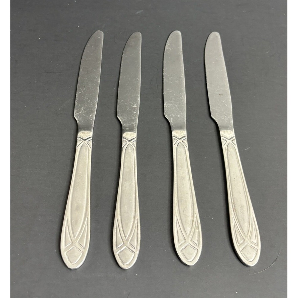 4 Pfaltzgraff Mirage Frost Dinner Knives Stainless Flatware 8 7/8"